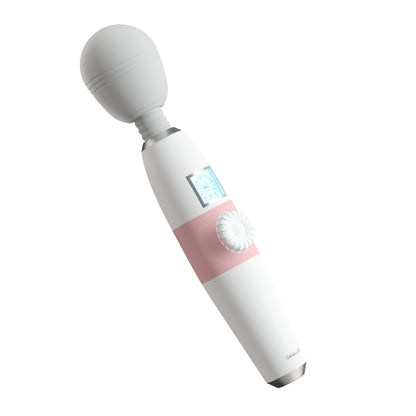 Dream Wand Vibrator & Body Massager